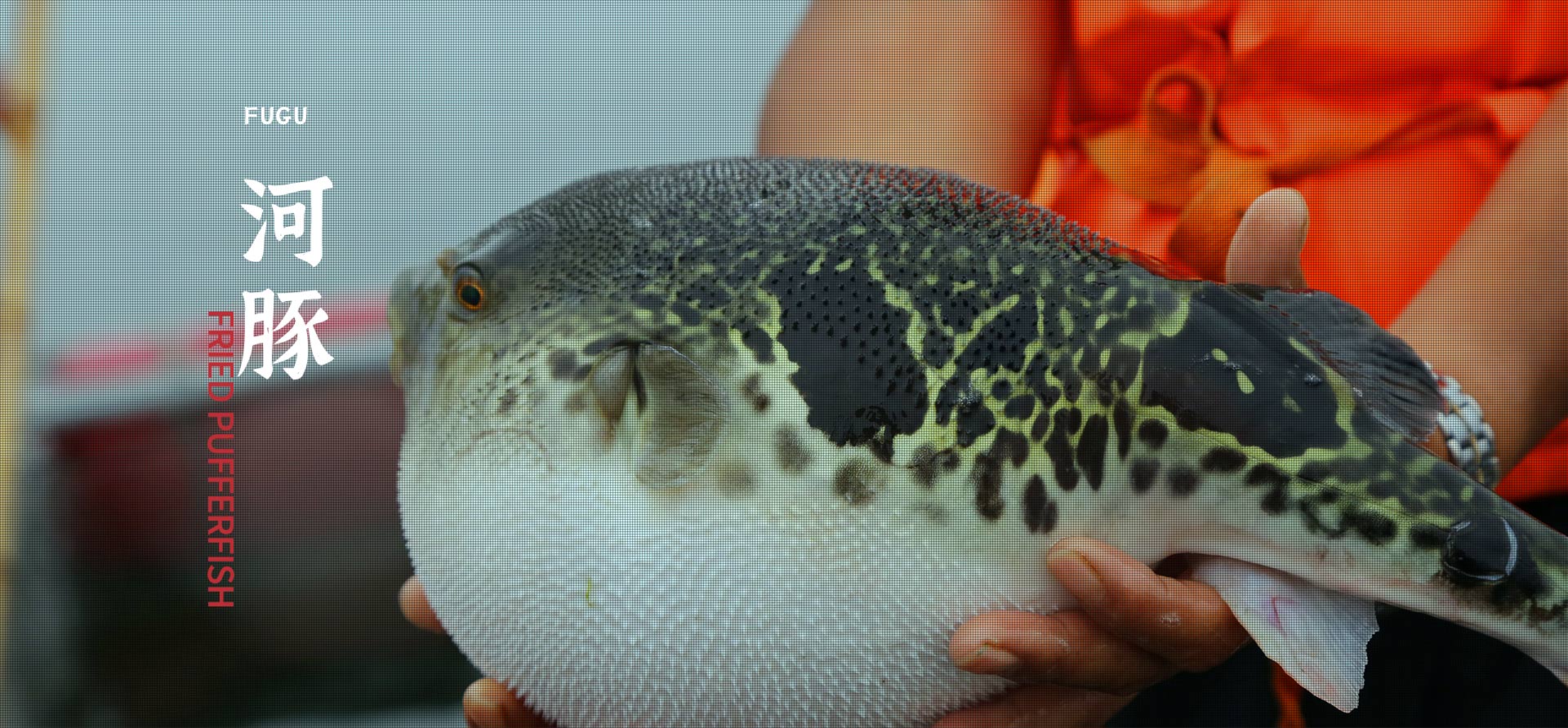 ����ᡤ(�й���½)��֤���ƻ���